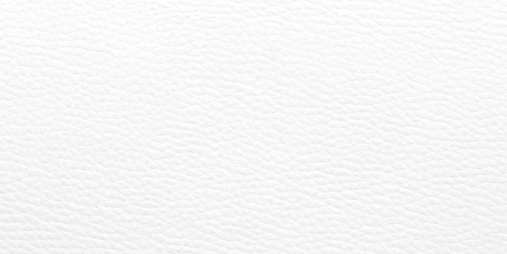 white-leather | Simtechgroup